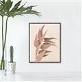 Picture of Dried Eucalyptus Blossom _GroupedProduct_Rectangle_Portrait_Photography _GroupedProduct_Rectangle_Portrait_Canvas_Framed_