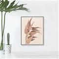 Picture of Dried Eucalyptus Blossom _GroupedProduct_Rectangle_Portrait_Photography _GroupedProduct_Rectangle_Portrait_Canvas_Framed_