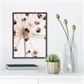 Picture of Ethereal Flower _GroupedProduct_Rectangle_Portrait_Photography _GroupedProduct_Rectangle_Portrait_Canvas_Framed_