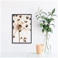 Picture of Ethereal Flower _GroupedProduct_Rectangle_Portrait_Photography _GroupedProduct_Rectangle_Portrait_Canvas_Framed_