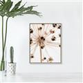Picture of Ethereal Flower _GroupedProduct_Rectangle_Portrait_Photography _GroupedProduct_Rectangle_Portrait_Canvas_Framed_