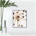 Picture of Ethereal Flower _GroupedProduct_Rectangle_Portrait_Photography _GroupedProduct_Rectangle_Portrait_Canvas_Framed_