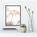 Picture of Desert Bloom Elegance _GroupedProduct_Rectangle_Portrait_Photography _GroupedProduct_Rectangle_Portrait_Canvas_Framed_