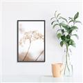 Picture of Desert Bloom Elegance _GroupedProduct_Rectangle_Portrait_Photography _GroupedProduct_Rectangle_Portrait_Canvas_Framed_