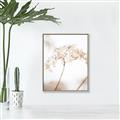 Picture of Desert Bloom Elegance _GroupedProduct_Rectangle_Portrait_Photography _GroupedProduct_Rectangle_Portrait_Canvas_Framed_
