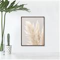 Picture of Creamy Petal Pampas I _GroupedProduct_Rectangle_Portrait_Photography _GroupedProduct_Rectangle_Portrait_Canvas_Framed_