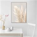 Picture of Creamy Petal Pampas I _GroupedProduct_Rectangle_Portrait_Photography _GroupedProduct_Rectangle_Portrait_Canvas_Framed_