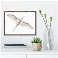 Picture of Serenade Flight _GroupedProduct_Rectangle_Landscape_Photography _GroupedProduct_Rectangle_Landscape_Canvas_Framed_