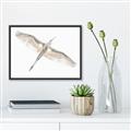 Picture of Serenade Flight _GroupedProduct_Rectangle_Landscape_Photography _GroupedProduct_Rectangle_Landscape_Canvas_Framed_