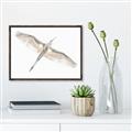 Picture of Serenade Flight _GroupedProduct_Rectangle_Landscape_Photography _GroupedProduct_Rectangle_Landscape_Canvas_Framed_