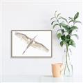 Picture of Serenade Flight _GroupedProduct_Rectangle_Landscape_Photography _GroupedProduct_Rectangle_Landscape_Canvas_Framed_