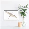 Picture of Serenade Flight _GroupedProduct_Rectangle_Landscape_Photography _GroupedProduct_Rectangle_Landscape_Canvas_Framed_
