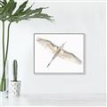 Picture of Serenade Flight _GroupedProduct_Rectangle_Landscape_Photography _GroupedProduct_Rectangle_Landscape_Canvas_Framed_