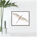 Picture of Serenade Flight _GroupedProduct_Rectangle_Landscape_Photography _GroupedProduct_Rectangle_Landscape_Canvas_Framed_