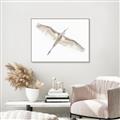 Picture of Serenade Flight _GroupedProduct_Rectangle_Landscape_Photography _GroupedProduct_Rectangle_Landscape_Canvas_Framed_