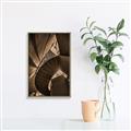 Picture of Muted Sun's Rays on Stairs _GroupedProduct_Rectangle_Portrait_Photography _GroupedProduct_Rectangle_Portrait_Canvas_Framed_