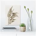 Picture of Dried Eucalyptus Blossom _GroupedProduct_Rectangle_Portrait_Photography _GroupedProduct_Rectangle_Portrait_Unframed_Print_Only_