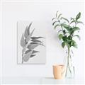Picture of Dried Eucalyptus Blossom _GroupedProduct_Rectangle_Portrait_Photography _GroupedProduct_Rectangle_Portrait_Unframed_Print_Only_