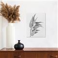 Picture of Dried Eucalyptus Blossom _GroupedProduct_Rectangle_Portrait_Photography _GroupedProduct_Rectangle_Portrait_Unframed_Print_Only_