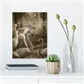 Picture of Flamingo _GroupedProduct_Rectangle_Portrait_Photography _GroupedProduct_Rectangle_Portrait_Unframed_Print_Only_