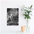 Picture of Flamingo _GroupedProduct_Rectangle_Portrait_Photography _GroupedProduct_Rectangle_Portrait_Unframed_Print_Only_