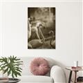 Picture of Flamingo _GroupedProduct_Rectangle_Portrait_Photography _GroupedProduct_Rectangle_Portrait_Unframed_Print_Only_
