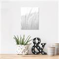 Picture of Rhapsody of Grass Blades _GroupedProduct_Rectangle_Portrait_Photography _GroupedProduct_Rectangle_Portrait_Unframed_Print_Only_