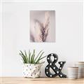 Picture of Enchanted Pampas Grass _GroupedProduct_Rectangle_Portrait_Photography _GroupedProduct_Rectangle_Portrait_Unframed_Print_Only_