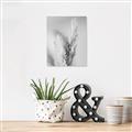Picture of Enchanted Pampas Grass _GroupedProduct_Rectangle_Portrait_Photography _GroupedProduct_Rectangle_Portrait_Unframed_Print_Only_