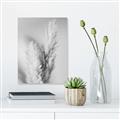 Picture of Enchanted Pampas Grass _GroupedProduct_Rectangle_Portrait_Photography _GroupedProduct_Rectangle_Portrait_Unframed_Print_Only_