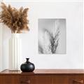 Picture of Enchanted Pampas Grass _GroupedProduct_Rectangle_Portrait_Photography _GroupedProduct_Rectangle_Portrait_Unframed_Print_Only_