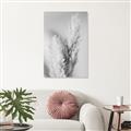 Picture of Enchanted Pampas Grass _GroupedProduct_Rectangle_Portrait_Photography _GroupedProduct_Rectangle_Portrait_Unframed_Print_Only_