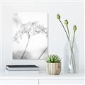 Picture of Desert Bloom Elegance _GroupedProduct_Rectangle_Portrait_Photography _GroupedProduct_Rectangle_Portrait_Unframed_Print_Only_