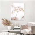 Picture of Desert Bloom Elegance _GroupedProduct_Rectangle_Portrait_Photography _GroupedProduct_Rectangle_Portrait_Unframed_Print_Only_