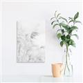 Picture of Neutral Bloom Reeds _GroupedProduct_Rectangle_Portrait_Photography _GroupedProduct_Rectangle_Portrait_Unframed_Print_Only_