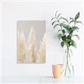 Picture of Creamy Petal Pampas II _GroupedProduct_Rectangle_Portrait_Photography _GroupedProduct_Rectangle_Portrait_Unframed_Print_Only_