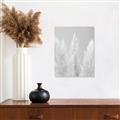 Picture of Creamy Petal Pampas II _GroupedProduct_Rectangle_Portrait_Photography _GroupedProduct_Rectangle_Portrait_Unframed_Print_Only_
