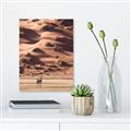 Picture of Tranquil Walk in the Valley _GroupedProduct_Rectangle_Portrait_Photography _GroupedProduct_Rectangle_Portrait_Unframed_Print_Only_