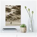 Picture of Tranquil Walk in the Valley _GroupedProduct_Rectangle_Portrait_Photography _GroupedProduct_Rectangle_Portrait_Unframed_Print_Only_