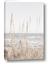 Picture of Beach Vass