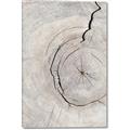 Picture of Cracked Wood _GroupedProduct_Rectangle_Portrait_Photography _GroupedProduct_Rectangle_Portrait_Canvas_