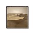 Picture of Desert Sand _GroupedProduct_Square_Photography _GroupedProduct_Square_Canvas_Framed_