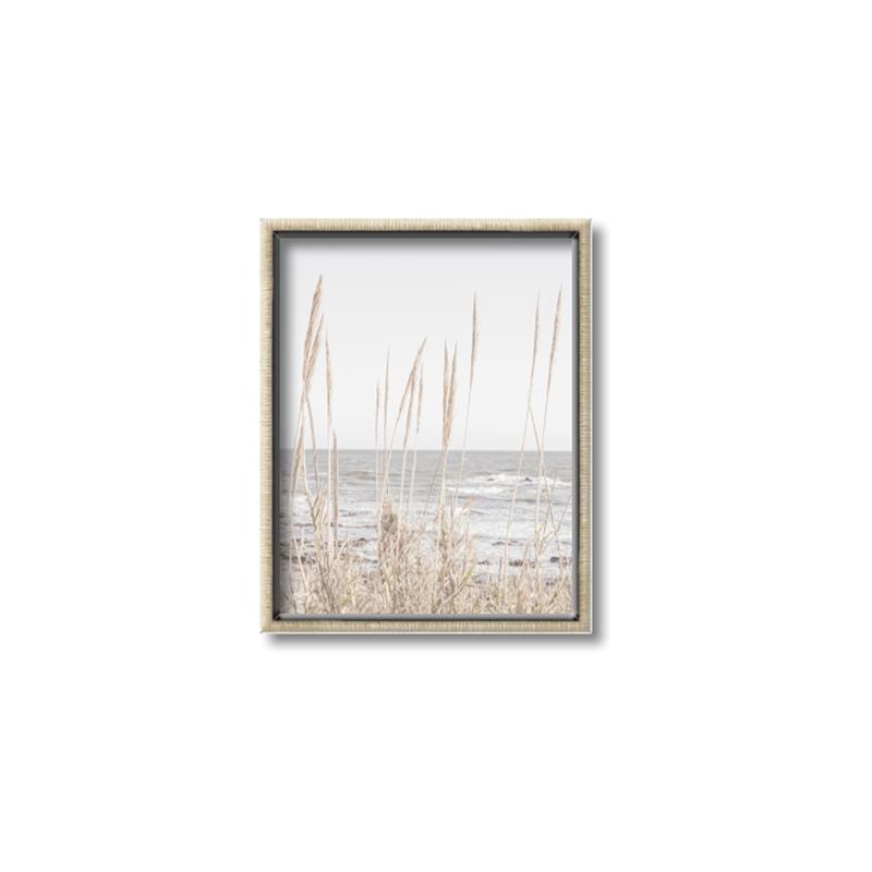 Picture of Beach Vass _GroupedProduct_Rectangle_Portrait_Photography _GroupedProduct_Rectangle_Portrait_Canvas_Framed_