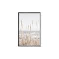 Picture of Beach Vass _GroupedProduct_Rectangle_Portrait_Photography _GroupedProduct_Rectangle_Portrait_Canvas_Framed_