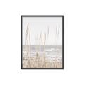Picture of Beach Vass _GroupedProduct_Rectangle_Portrait_Photography _GroupedProduct_Rectangle_Portrait_Canvas_Framed_
