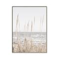 Picture of Beach Vass _GroupedProduct_Rectangle_Portrait_Photography _GroupedProduct_Rectangle_Portrait_Canvas_Framed_