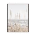 Picture of Beach Vass _GroupedProduct_Rectangle_Portrait_Photography _GroupedProduct_Rectangle_Portrait_Canvas_Framed_