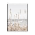 Picture of Beach Vass _GroupedProduct_Rectangle_Portrait_Photography _GroupedProduct_Rectangle_Portrait_Canvas_Framed_