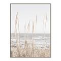 Picture of Beach Vass _GroupedProduct_Rectangle_Portrait_Photography _GroupedProduct_Rectangle_Portrait_Canvas_Framed_