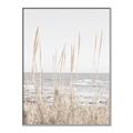 Picture of Beach Vass _GroupedProduct_Rectangle_Portrait_Photography _GroupedProduct_Rectangle_Portrait_Canvas_Framed_